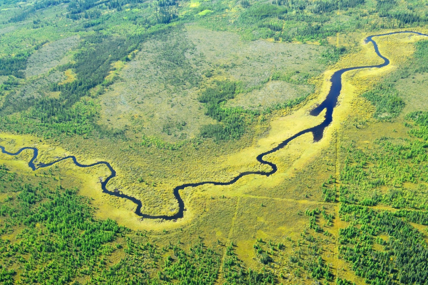 20151029 boreal stream